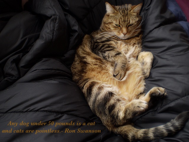 9E00346D-3736-4F21-AE98-08ABCC1441F5